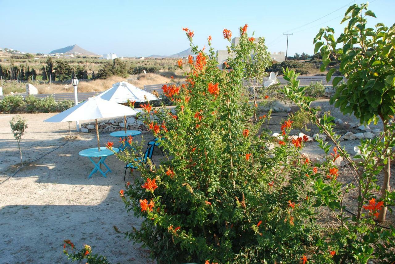 Villa Kampos Naousa-Marpisa Ambelas Dış mekan fotoğraf