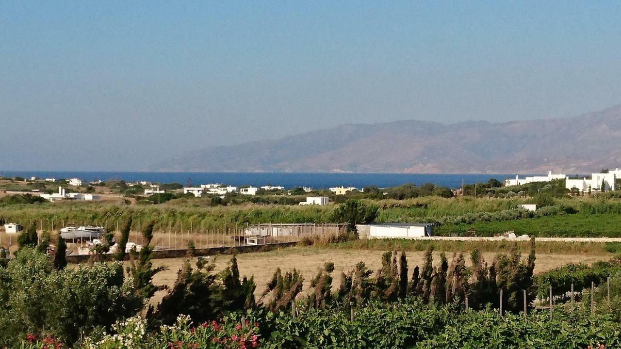 Villa Kampos Naousa-Marpisa Ambelas Dış mekan fotoğraf