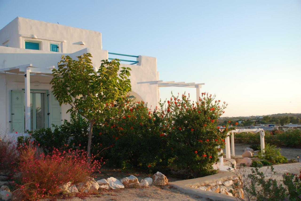 Villa Kampos Naousa-Marpisa Ambelas Dış mekan fotoğraf