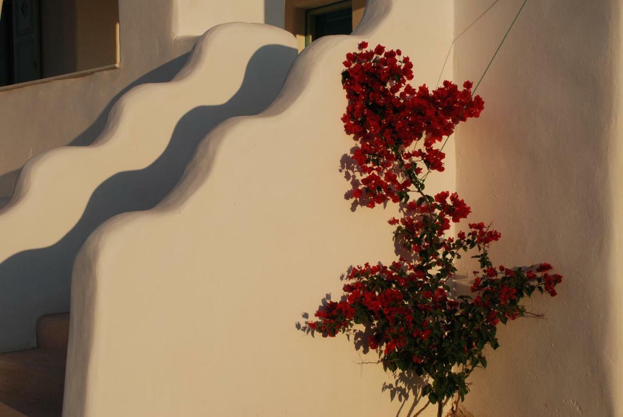 Villa Kampos Naousa-Marpisa Ambelas Dış mekan fotoğraf