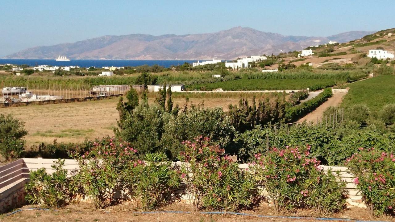 Villa Kampos Naousa-Marpisa Ambelas Dış mekan fotoğraf