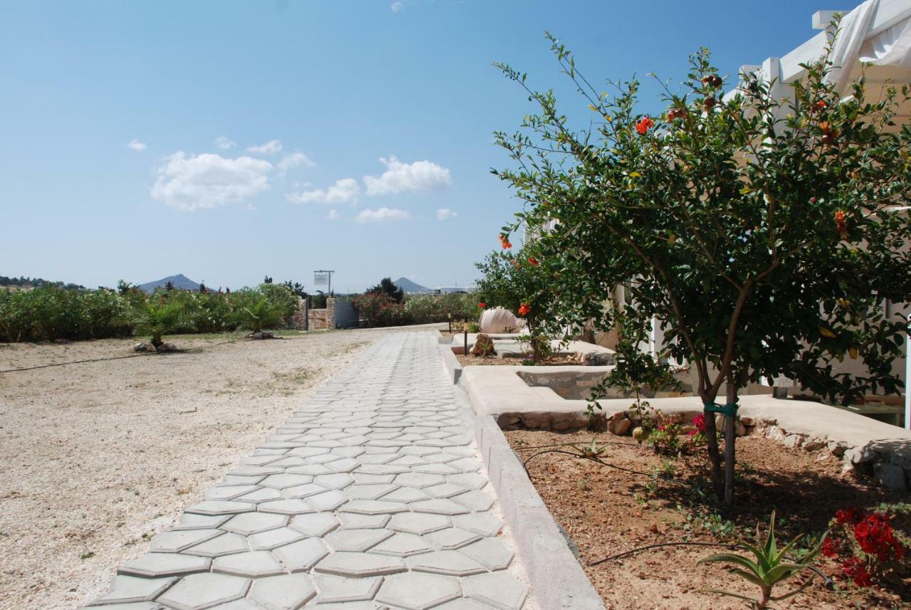 Villa Kampos Naousa-Marpisa Ambelas Dış mekan fotoğraf