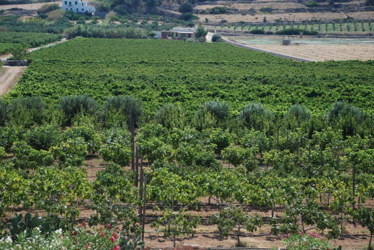 Villa Kampos Naousa-Marpisa Ambelas Dış mekan fotoğraf